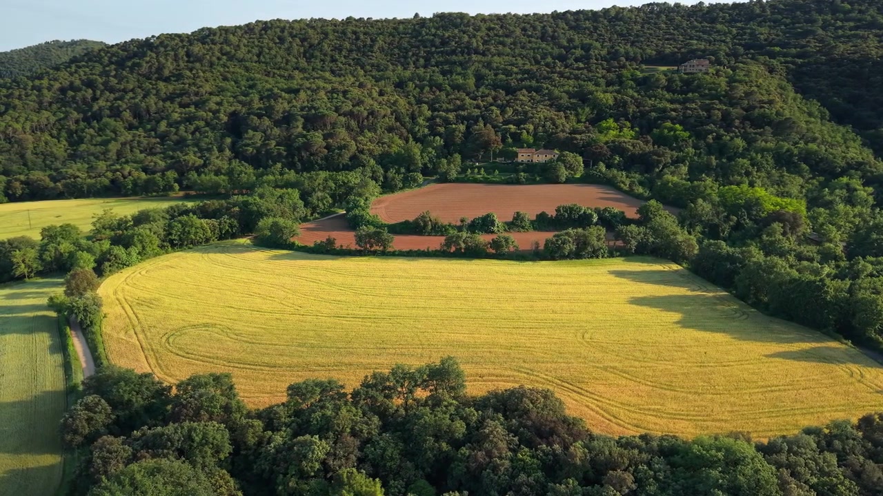 Aerial View of Golden Farmland and Forested Hills in Catalonia