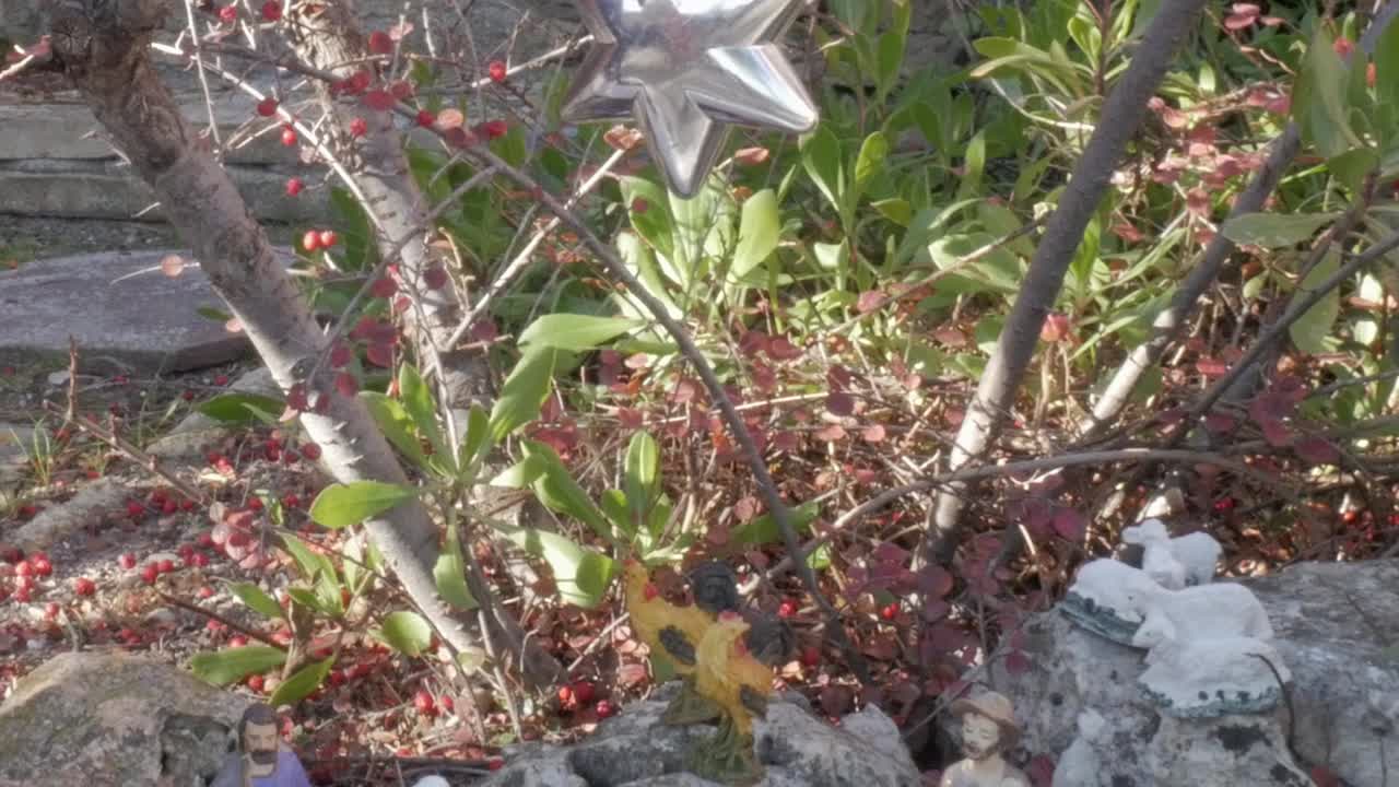 A nativity scene with figurines in an outdoor garden setting surrounded by plants