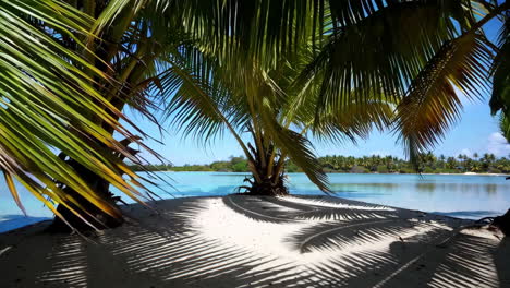un paraíso de playa tropical con palmeras