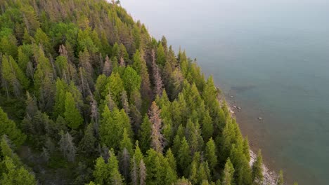 aerial ascent of forested lake coastline, michigan