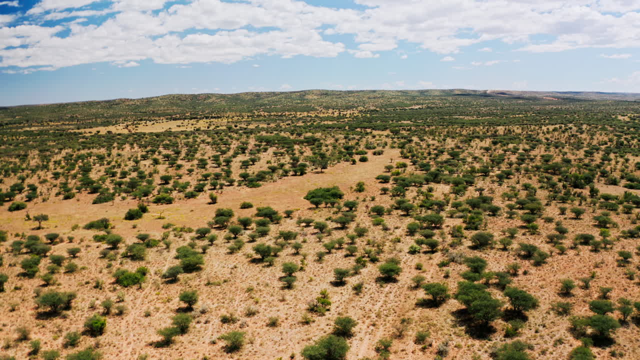 Aerial View of a Dry Savanna Landscape