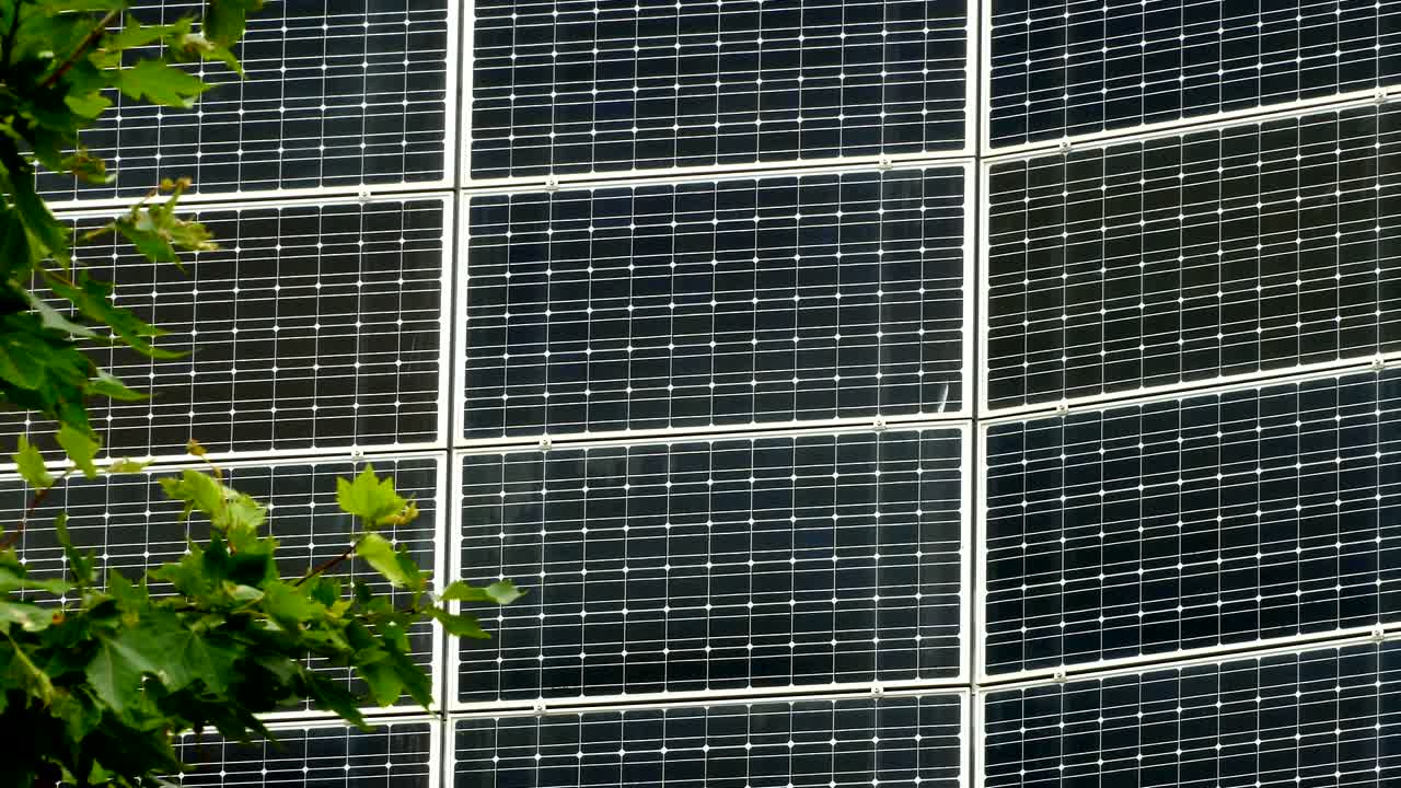 energía solar, fotosíntesis y viento concepto de energías naturales.