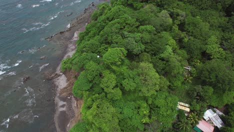 lush green rainforest coast with ocean waves, costa rica drone flyover