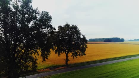 Aerial-view-of-field-in-countryside-4k