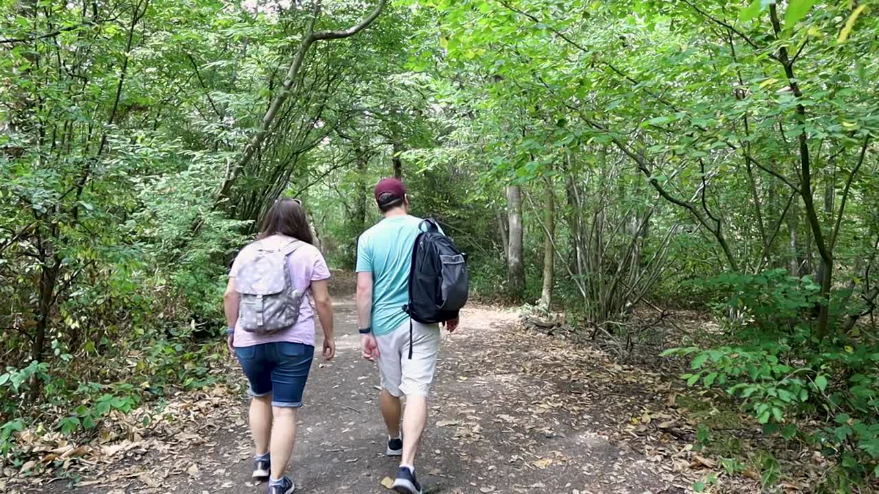 Young couple with backpacks walking on dense forest pathway, back view