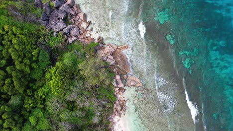 vista a vista de pájaro de la costa de la digue en las seychelles