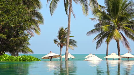 infinity pool with amazing sea view, tropical vegetation at private beachfront property on exotic vacation destination, full frame