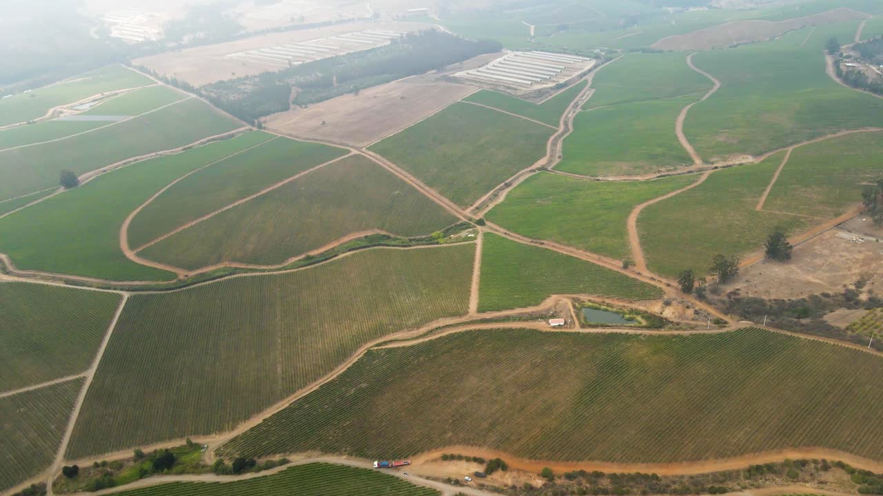 vista aérea aérea de personas cosechando uvas en un viñedo en el valle de leyda, chile