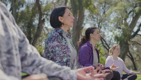 group meditation in park