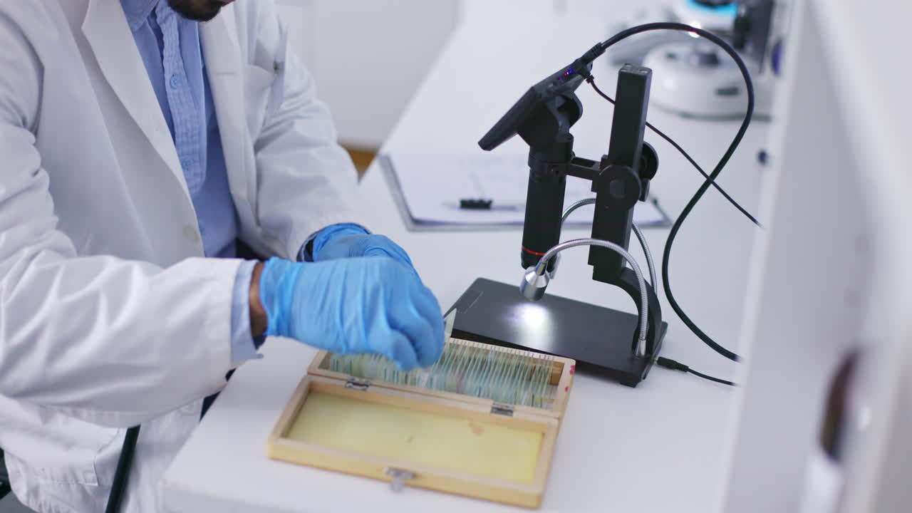 estudio de la ciencia, el hombre científico