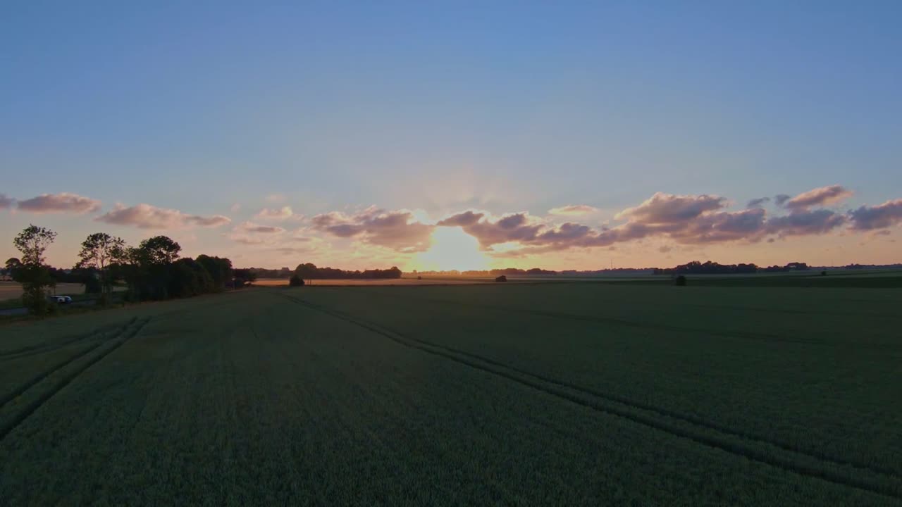 Drone flight over a wheat field in the evening at a beautiful sunset with a country road on the side