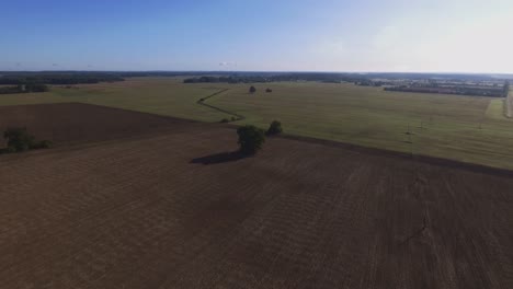 Flug-Zu-Einzelnen-Bäumen-In-Landwirtschaftlichen-Feldern-An-Einem-Sonnigen-Tag-1