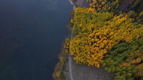 Vista-Aérea-Del-Bosque-En-Follaje-Otoñal-Y-Agua-Del-Lago-Alpino,-Disparo-De-Drones