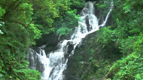 深い森の川で