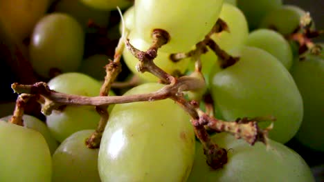 close up of fresh green grapes