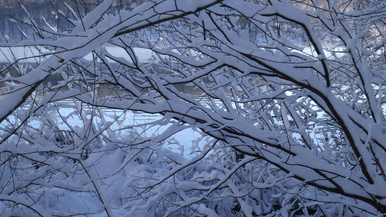 En vacker vinterscen med snötäckta trädgrenar i förgrunden, som skapar en naturlig ram för det kristallklara turkosa vattnet i en sjö i Plitvicesjöarnas nationalpark, Kroatien
