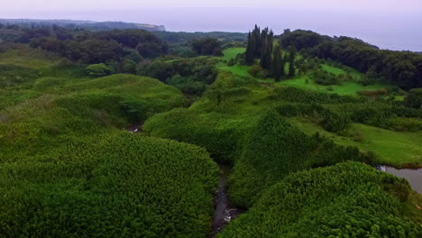 Sobrevuelo-Aéreo-Hermoso-Paisaje-Verde-De-Hawaii-Con-Estacionamiento-Y-Océano-Como-Telón-De-Fondo