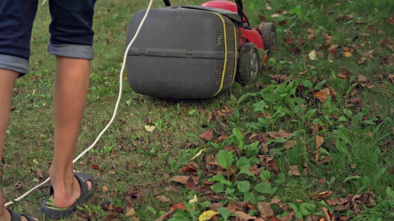 Lawn mower at work. Lawn mower cutting green grass in backyard