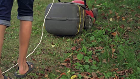 lawn mower at work. lawn mower cutting green grass in backyard
