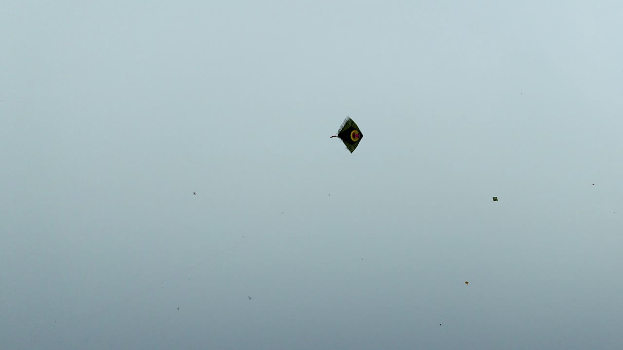 Colorful kite soaring high in blue sky during Makar Sankranti festival.