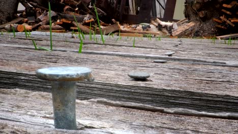 time lapse of a fallen down fence with grass moving in the slats