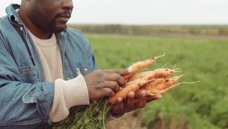 Farmer-Examining-Freshly-Picked-Carrots
