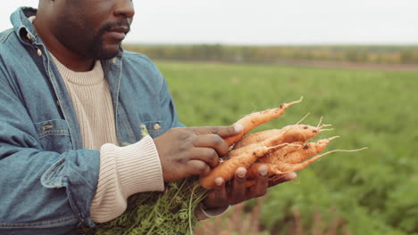 farmer examining freshly picked carrots