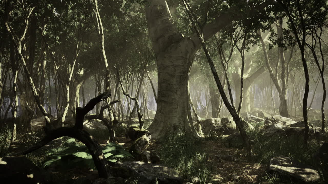 Mysterious forest bathed in ethereal light capturing the essence of nature