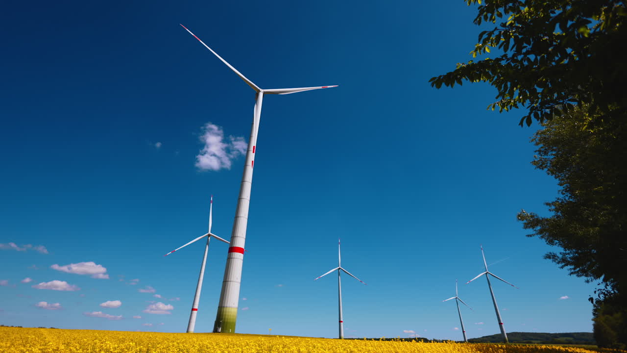 Several wind turbines rotate in the blue sky. Yellow flowers blooming in the field. Low angle view.