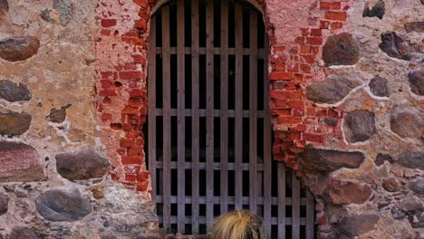 muralla del castillo medieval y puerta de entrada en vista ascendente de cerca de drones