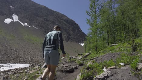 hiker on trail in valley by pine trees followed rockies, kananaskis alberta canada