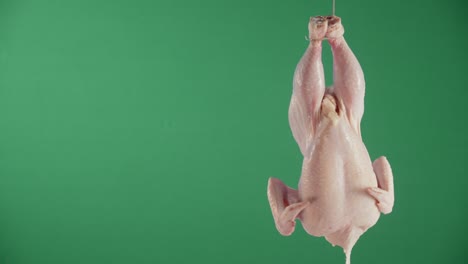 colgando de una cuerda un pollo entero crudo y girando.