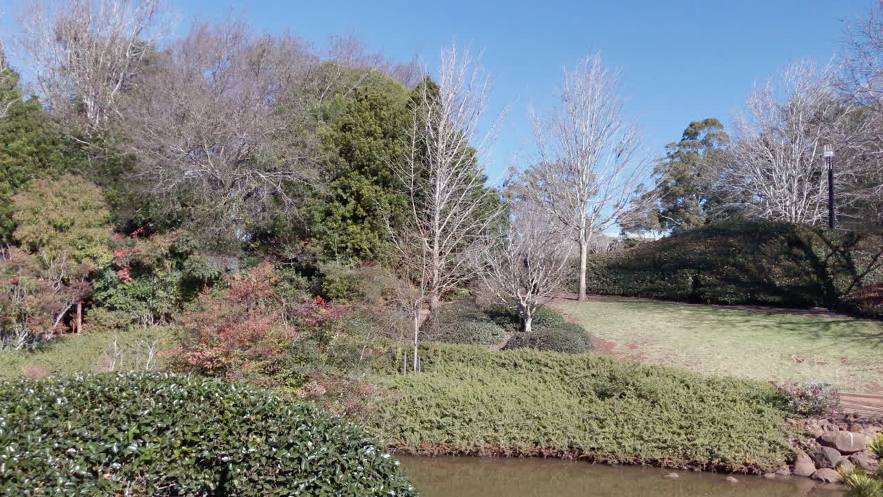 빨간 다리, 연못 및 다채로운 잎자루의 빠른 , 일본 정원, toowoomba, 오스트레일리아