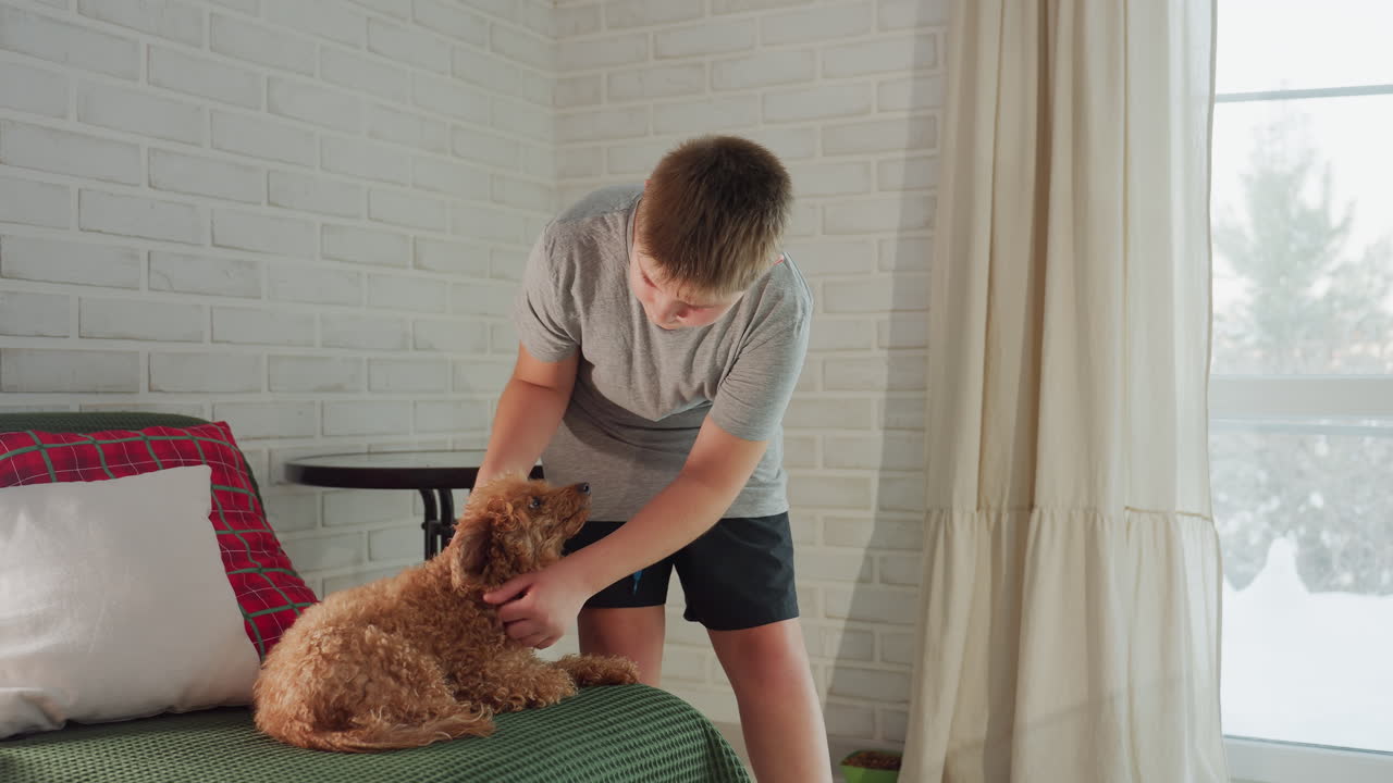 Woman in ash top and black shorts rubbing dog all around its body, dog lying comfortably on form background with black table, white cotton, and trees visible outside the window