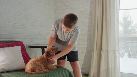 woman in ash top and black shorts rubbing dog all around its body, dog lying comfortably on form background with black table, white cotton, and trees visible outside the window