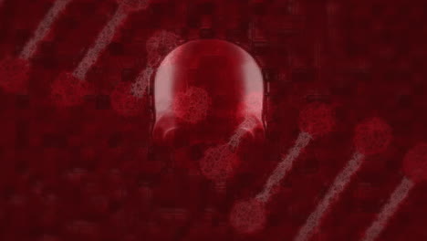 dna strand spinning and red skull spinning on a red background background. covid-19 spreading