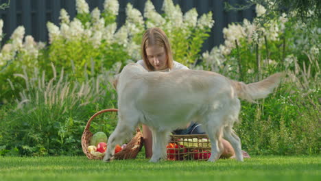 woman and dog enjoying fresh produce in garden