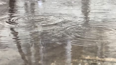 Rain-drops-in-slow-motion