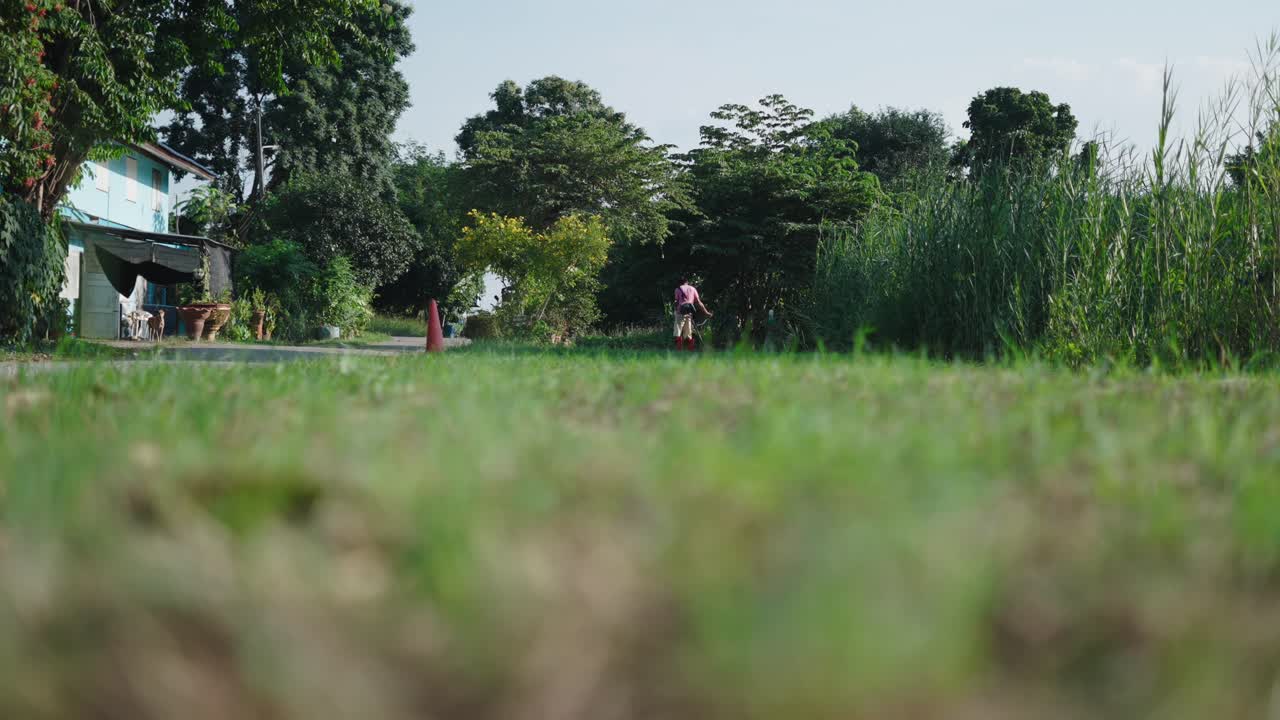 Rural Scene with Person in Garden