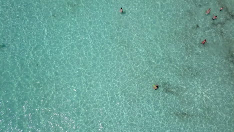 Imágenes-Aéreas-De-Personas-Bañándose-En-Una-Playa-De-Arena-Poco-Profunda