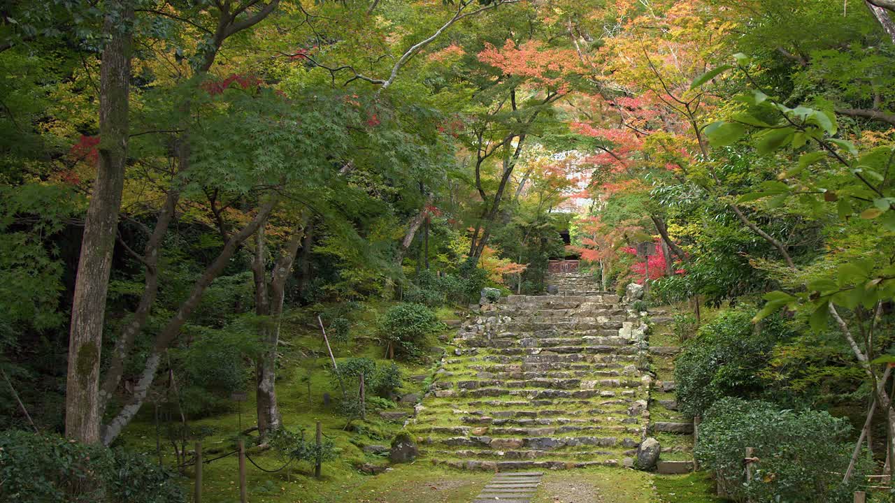 Breeze blows colorful autumn leaves along stone staircase at temple