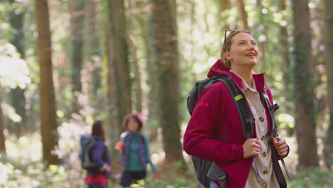 Mujer-Cerrando-Los-Ojos-Disfrutando-De-La-Paz-Con-Amigas-En-Una-Caminata-De-Vacaciones-Por-El-Bosque-Juntas