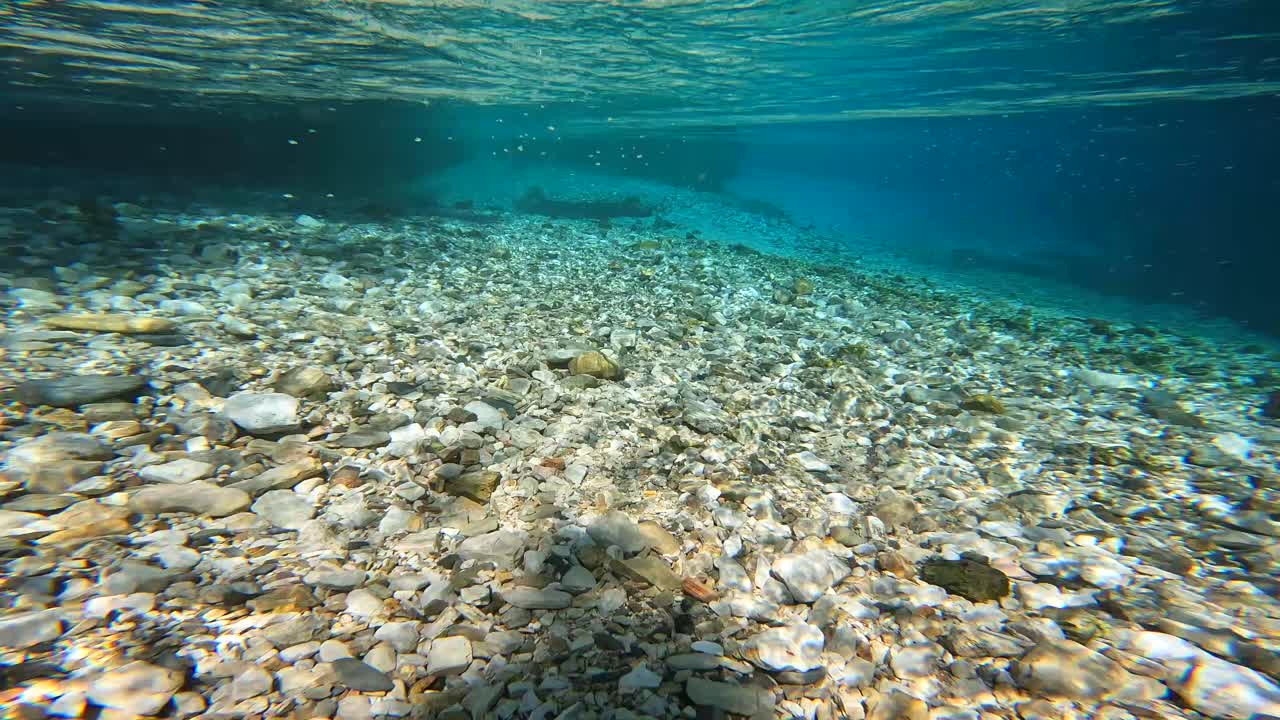 Naturskønt syn af en flod med klart vand og frodig vegetation