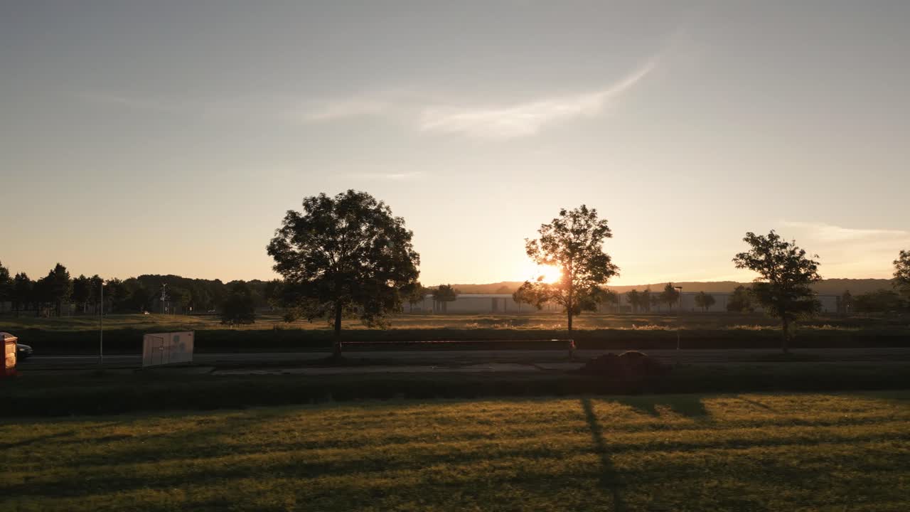 나무 가 있는 시골 도로 위 에 해 가 지는 것
