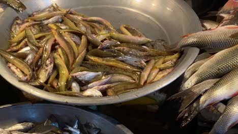 pescado recién capturado a la venta en el mercado de sylhet