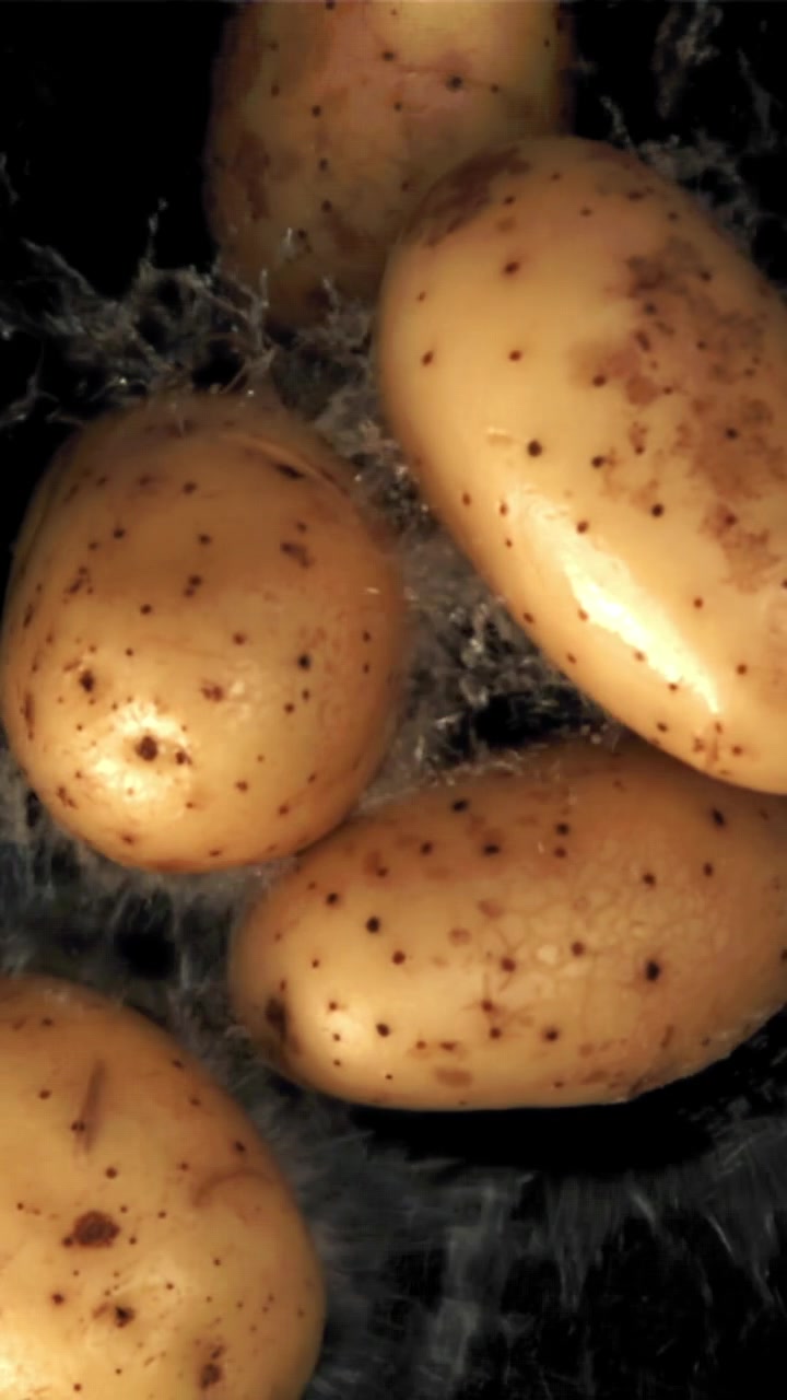 Primo piano: patate fresche lavate con schizzi d'acqua
