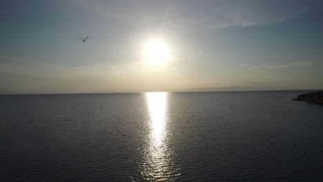 Aerial-shot-of-the-sunset-and-a-flying-bird-in-Partida-Island,-Archipielago-Espritu-Santo-National-Park,-Baja-California-Sur