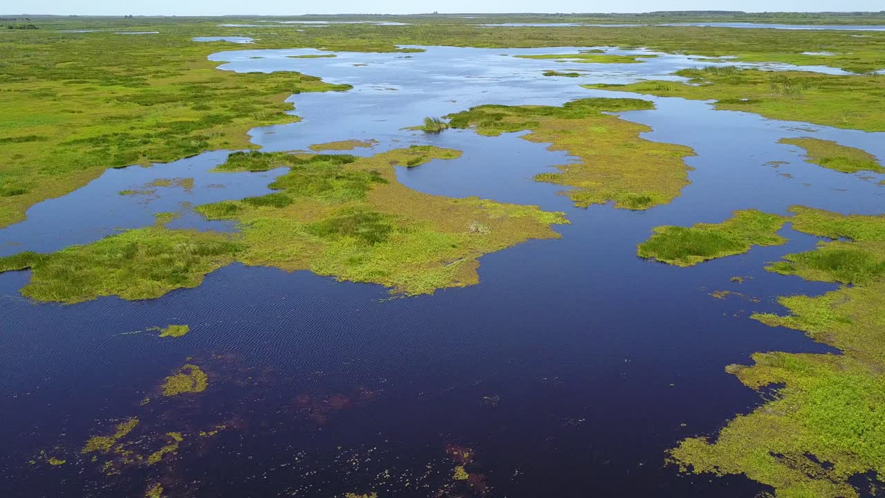 Zone umide del nord-est dell'Argentina riprese con drone