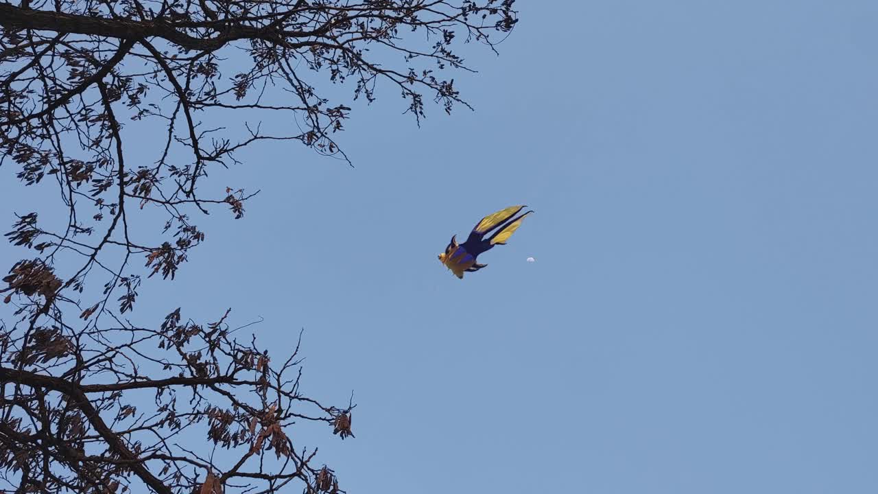 공중에 떠다니는 날개