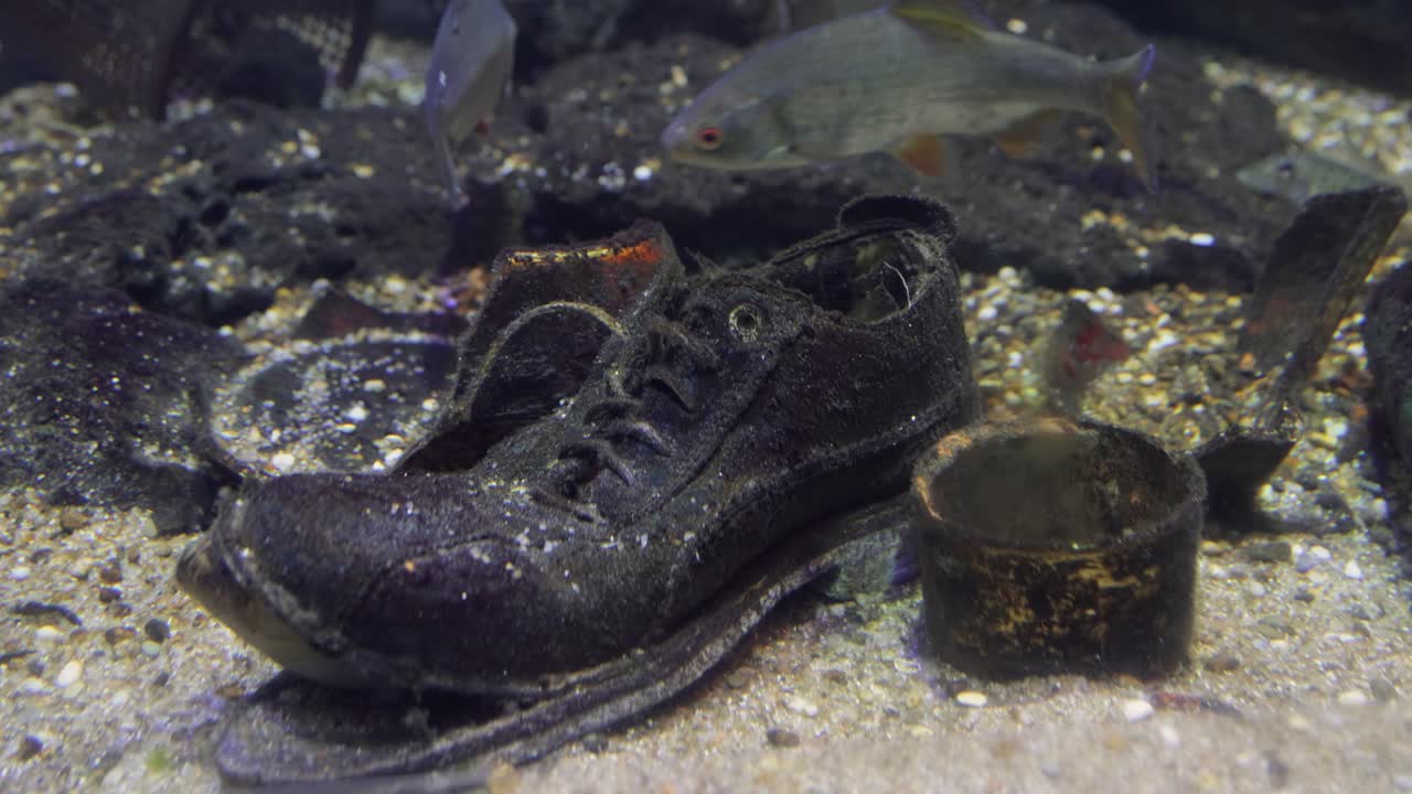 problemas medioambientales relacionados con la contaminación del agua.